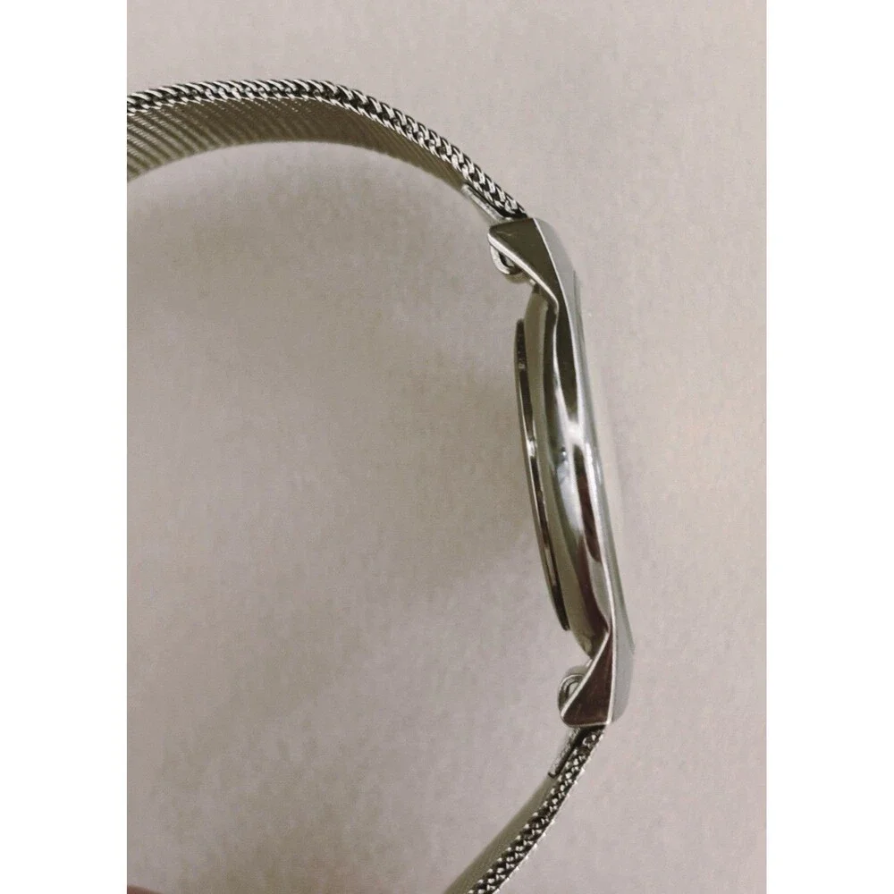 Skagen Watch Women’s Silver Dial Stainless Steel Round Mesh Band New Battery
